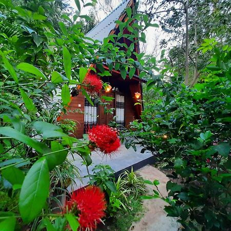 The Otunna Guest House Sigiriya Eksteriør billede