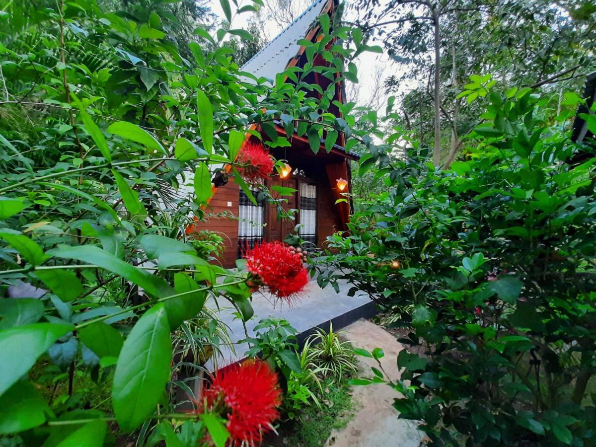 The Otunna Guest House Sigiriya Eksteriør billede