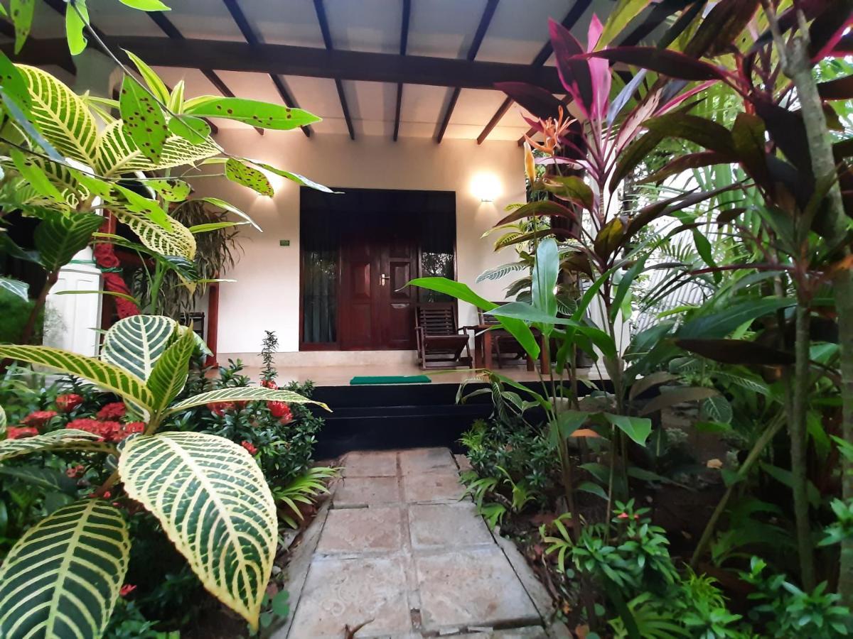 The Otunna Guest House Sigiriya Eksteriør billede