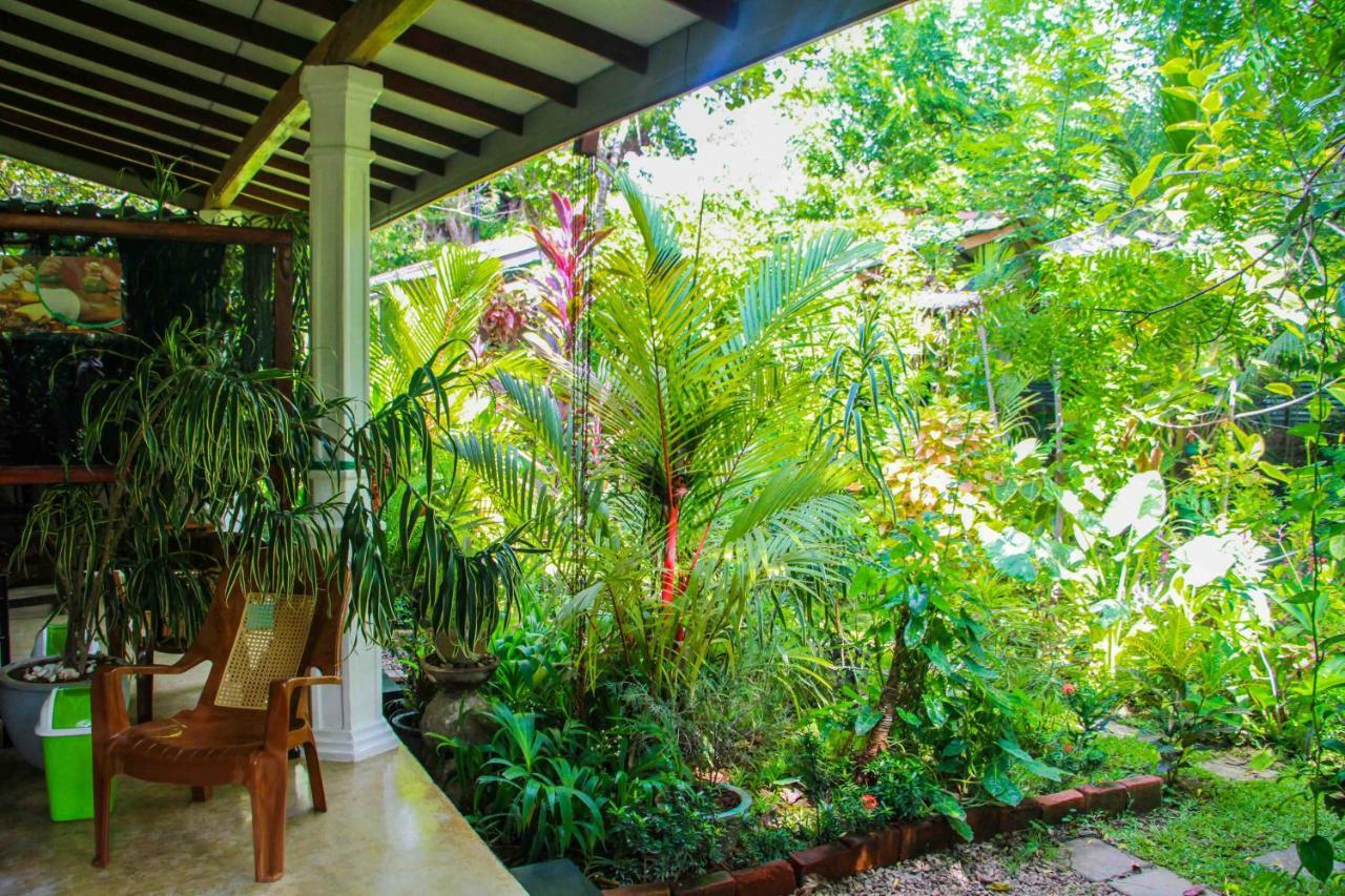 The Otunna Guest House Sigiriya Eksteriør billede